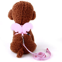 Angel Wing Leash Mr Fluffy