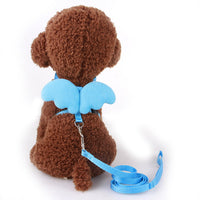 Angel Wing Leash Mr Fluffy