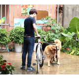 Bicycle Pet Leash Mr Fluffy