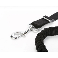 Bicycle Pet Leash Mr Fluffy