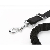 Bicycle Pet Leash Mr Fluffy