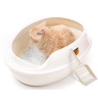 Cat Litter Box With Footboard Mr Fluffy