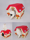 DIY Cardboard House For Cats / Small Pets Mr Fluffy