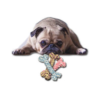 Dog Toy Woven Rope Bone Mr Fluffy