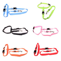 Jogging Pet Leash Mr Fluffy