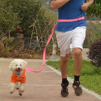 Jogging Pet Leash Mr Fluffy