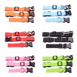 Jogging Pet Leash Mr Fluffy
