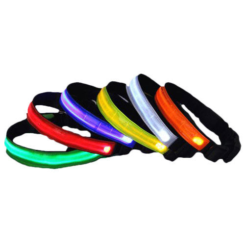LED Pet Collar Mr Fluffy