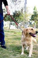 Leather Dog Leash Mr Fluffy