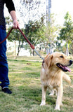 Leather Dog Leash Mr Fluffy