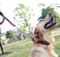 Leather Dog Leash Mr Fluffy