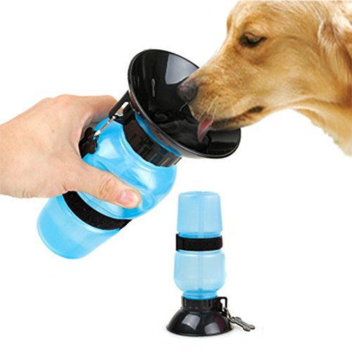 Mess Free Pet Water Bottle Mr Fluffy