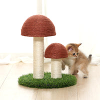 Mushroom Cat Scratch Post Mr Fluffy