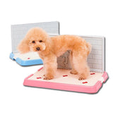 Pee Tray With Wall For Male Dogs Mr Fluffy