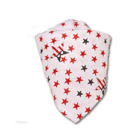 Pet Bandana Mr Fluffy