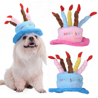 Pet Birthday Hat Mr Fluffy