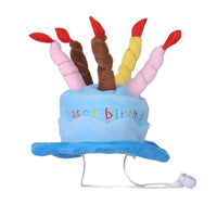 Pet Birthday Hat Mr Fluffy