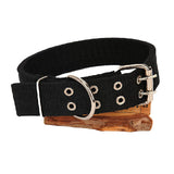 Pet Collar For Large Pets Mr Fluffy