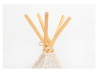 Pet Teepee Tent Mr Fluffy