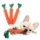 Pet Woven Toy Fruit Mr Fluffy