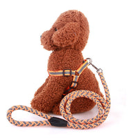 Reflective Pet Harness And Round Leash Mr Fluffy