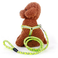 Reflective Pet Harness And Round Leash Mr Fluffy
