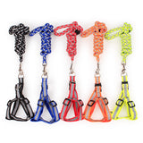 Reflective Pet Harness And Round Leash Mr Fluffy