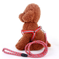 Reflective Pet Harness And Round Leash Mr Fluffy
