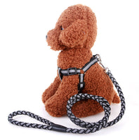 Reflective Pet Harness And Round Leash Mr Fluffy