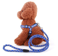 Reflective Pet Harness And Round Leash Mr Fluffy
