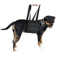 Rehabilitation Support Lift Sling Mr Fluffy