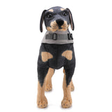 Swanky Pet Life Vest Jacket Mr Fluffy